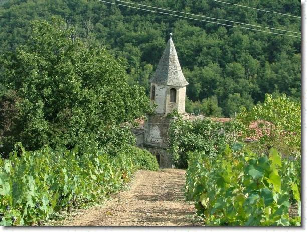 vendange 2005 13